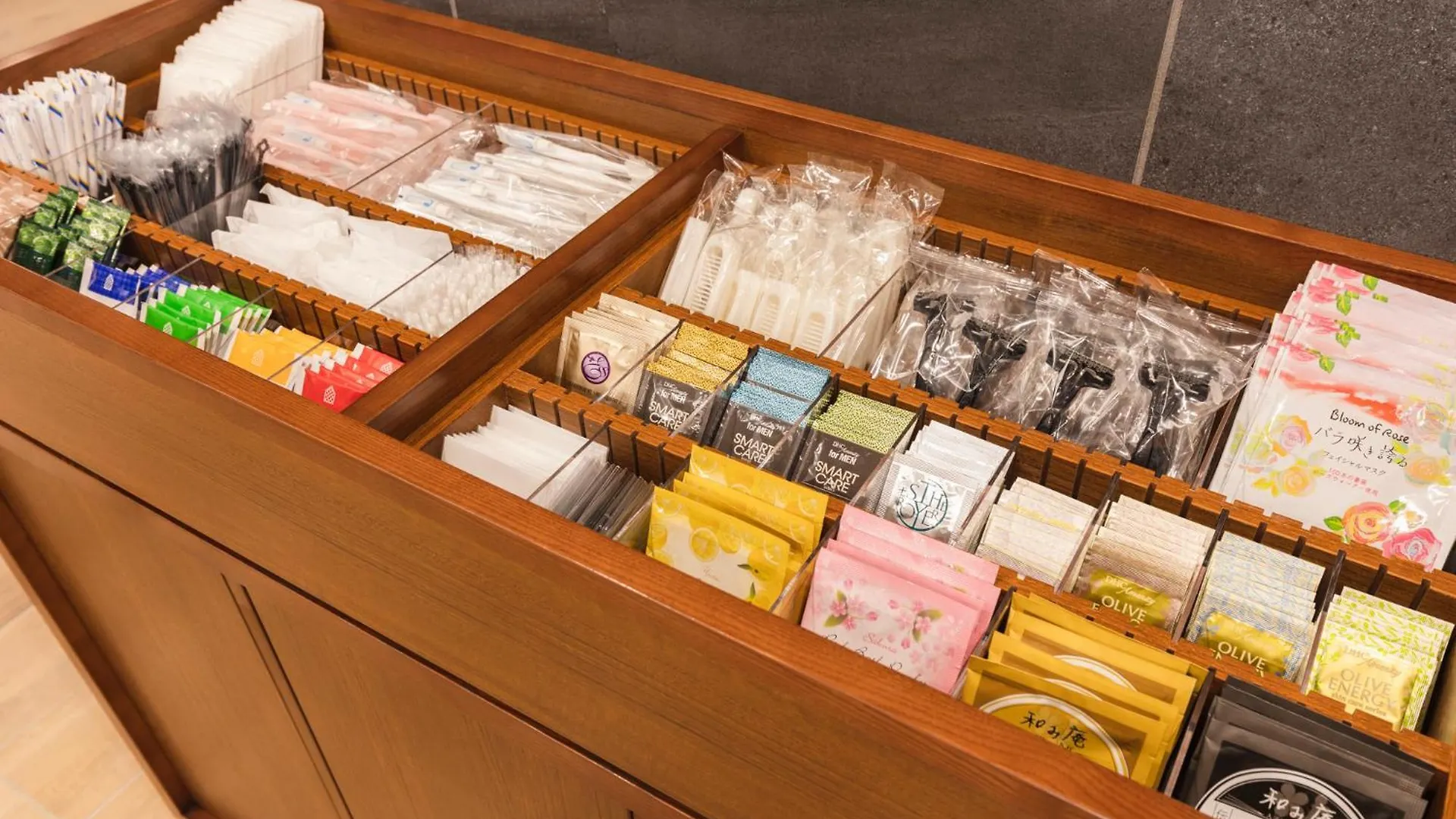Sotetsu Fresa Inn Sapporo-Susukino Japan